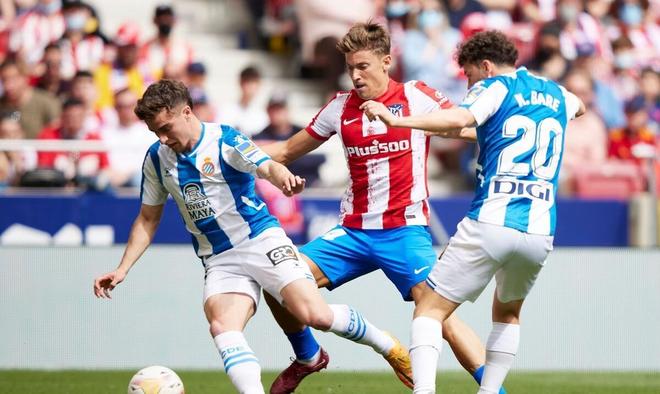 占优势的情 占优势的情